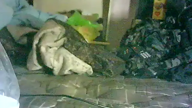 GUAPAN3S3_FIR3 – Naživo XXX chat