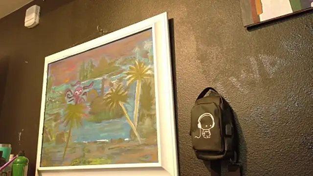 AQuickPhyx 웹캠 쇼