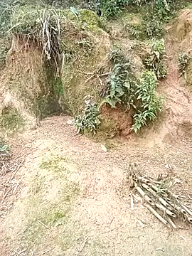 kalara_kail's Webcam Show