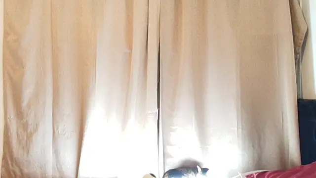 jimmy_class Show Webcam