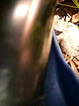 maxvergo's Webcam Show