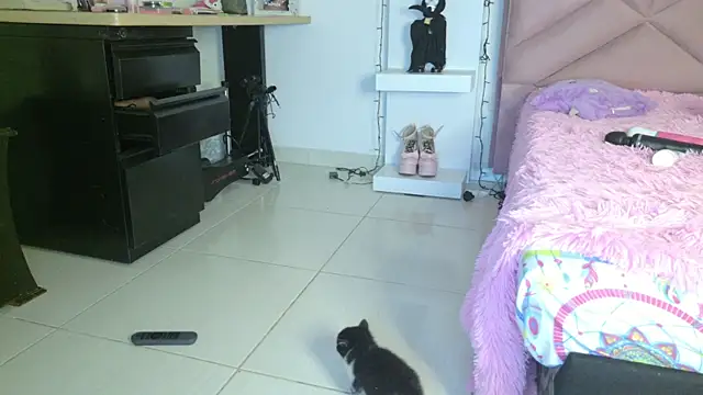 eva_sin18 – Naživo XXX chat