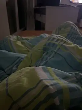 FROL83n Webbikameraesitys