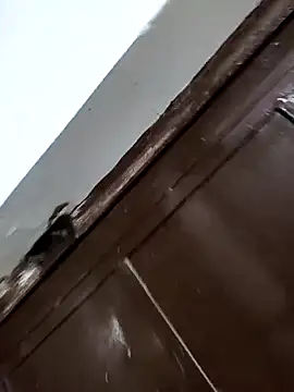 Chanderi19 élő XXX-chatje