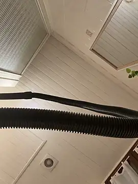 Show webcam de dipsy3535