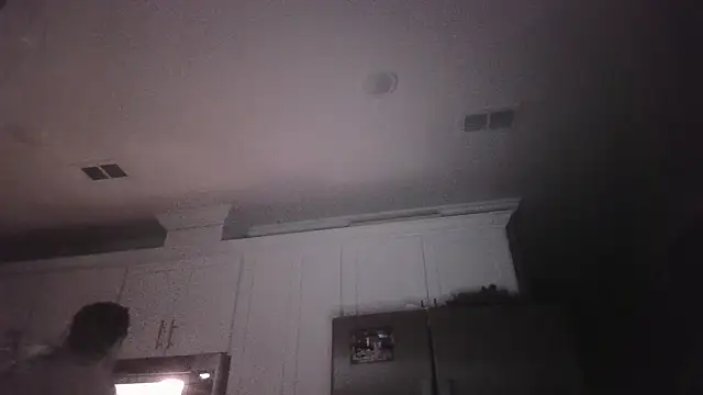 Bumblingdodger webcam show