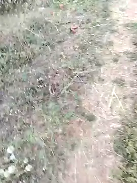 TEENA_BHABHI143's Webcam Show