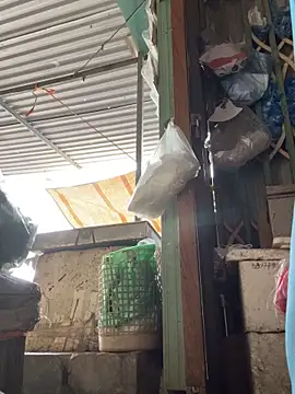 Webkamerová show BellaCherishDarling