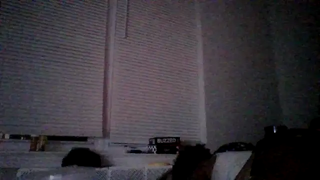 Show webcam de dezzidavill