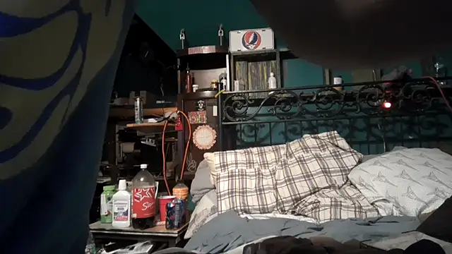 Show Webcam de charactrzero