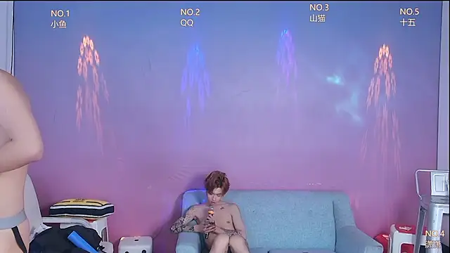 NTN-luckyn Webbikameraesitys