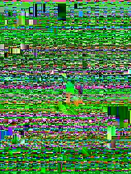 Pokazy przed kamerką – Isabella_fasilier