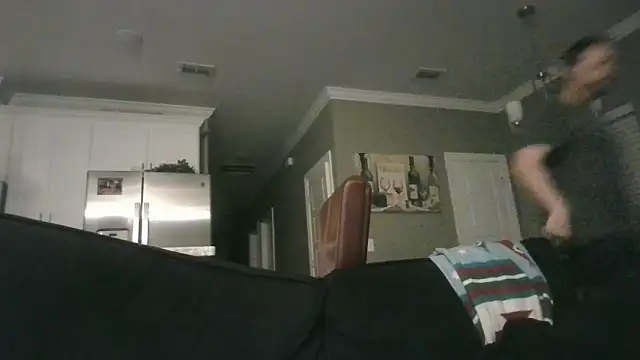 Bumblingdodger's Webcam Show