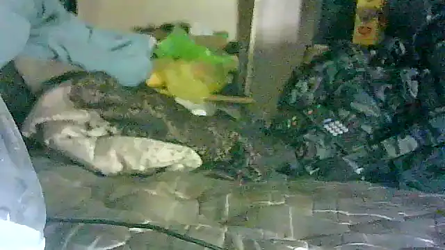 GUAPAN3S3_FIR3 现场XXX聊天