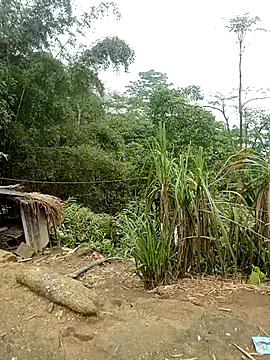 kalara_kail Webcam-Show