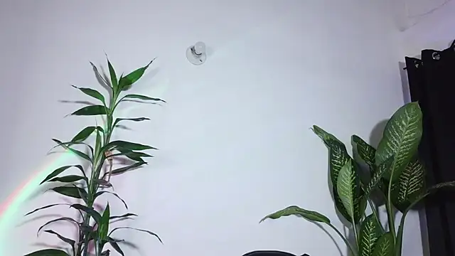 bri_von_dhara__ 现场XXX聊天