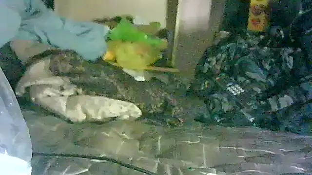 GUAPAN3S3_FIR3 Show in webcam