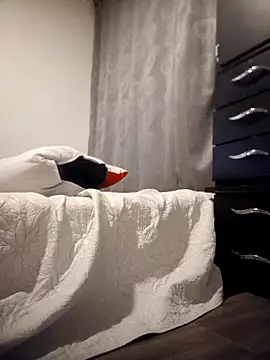 Fernandar2025 Live XXX-chat