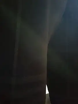 Deptraidatinh 网络视讯表演