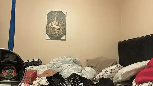 Show Webcam de hailzeffn