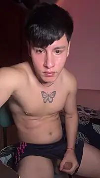 12krizia3のウェブカメラショー