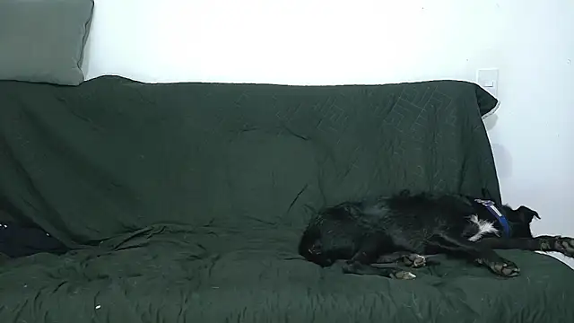 Chat XXX en directo de Party_Straight