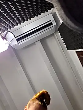 kylie_blck 라이브 XXX 채팅