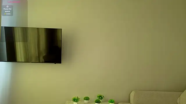 SoLefeldのウェブカメラショー