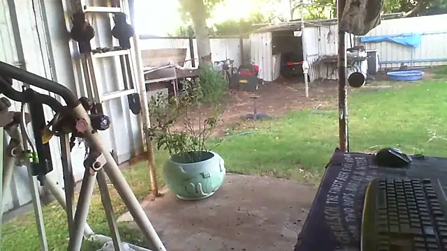 herbie010666n Webbikameraesitys