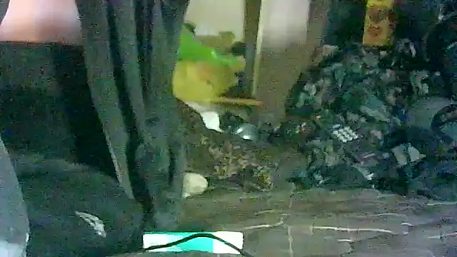 GUAPAN3S3_FIR3 – webcam-show