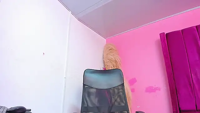 pipeking020 Obrolan Langsung XXX