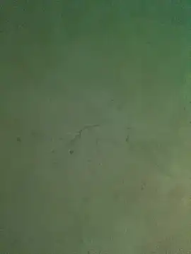 Petebulimia Show Webcam