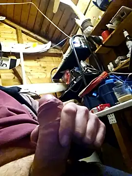 Pertunjukan Kamera Web 51babu