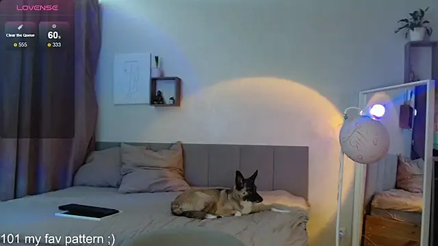 Chat +18 de Eva___forever ao vivo