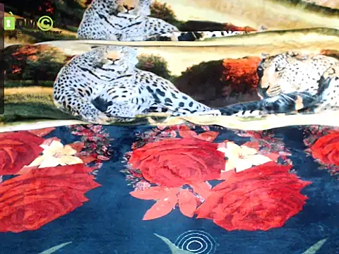 Chat +18 de Queen_Sarah ao vivo