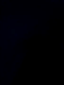 Nidge251 – Kamerová šou