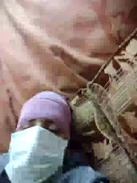 Gayegypt webcam show