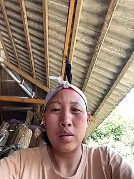 An-2k 网络视讯表演