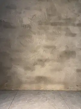 siorin_24 网络视讯表演