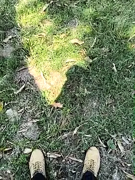 rajdehli Webcam-Show