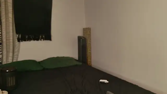 Show webcam de JackDesFeux