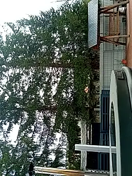 Medelin92 Webcam show