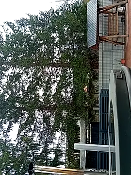 Medelin92 Webcam show