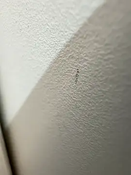 eveangelll's Live XXX Chat