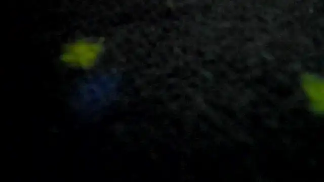 Chat +18 de AishaRouhi ao vivo