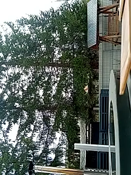 Medelin92: вебкам-шоу