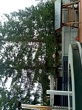 Show webcam de Medelin92