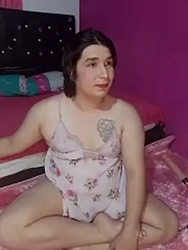 Kaissydolln Webbikameraesitys