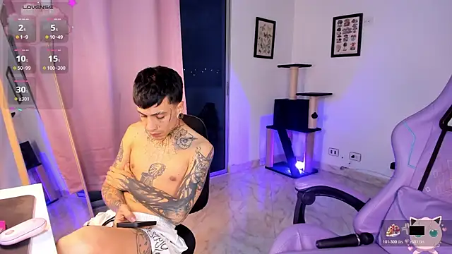 Dirtycalmのウェブカメラショー