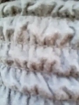 Aurora_Novaのウェブカメラショー